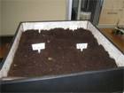 20110524_news05